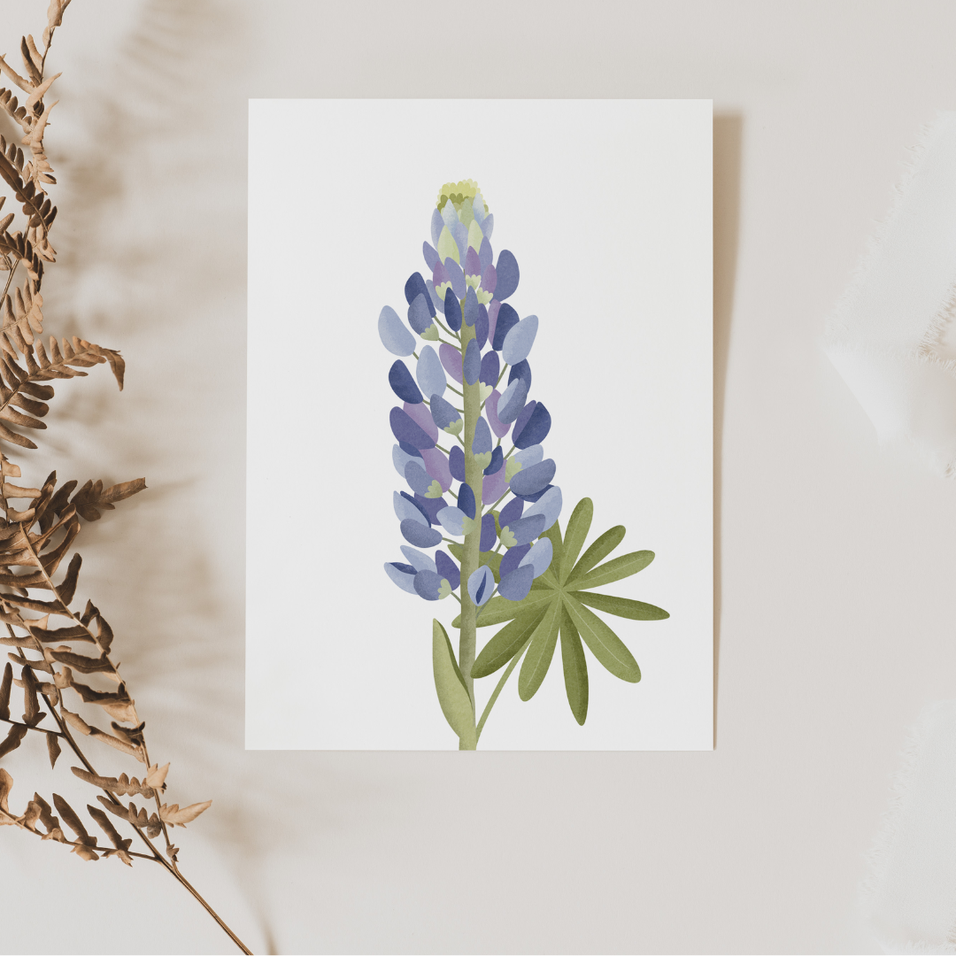Postkarte Blume Lupinen - Botanische Grußkarte Lupinen Island