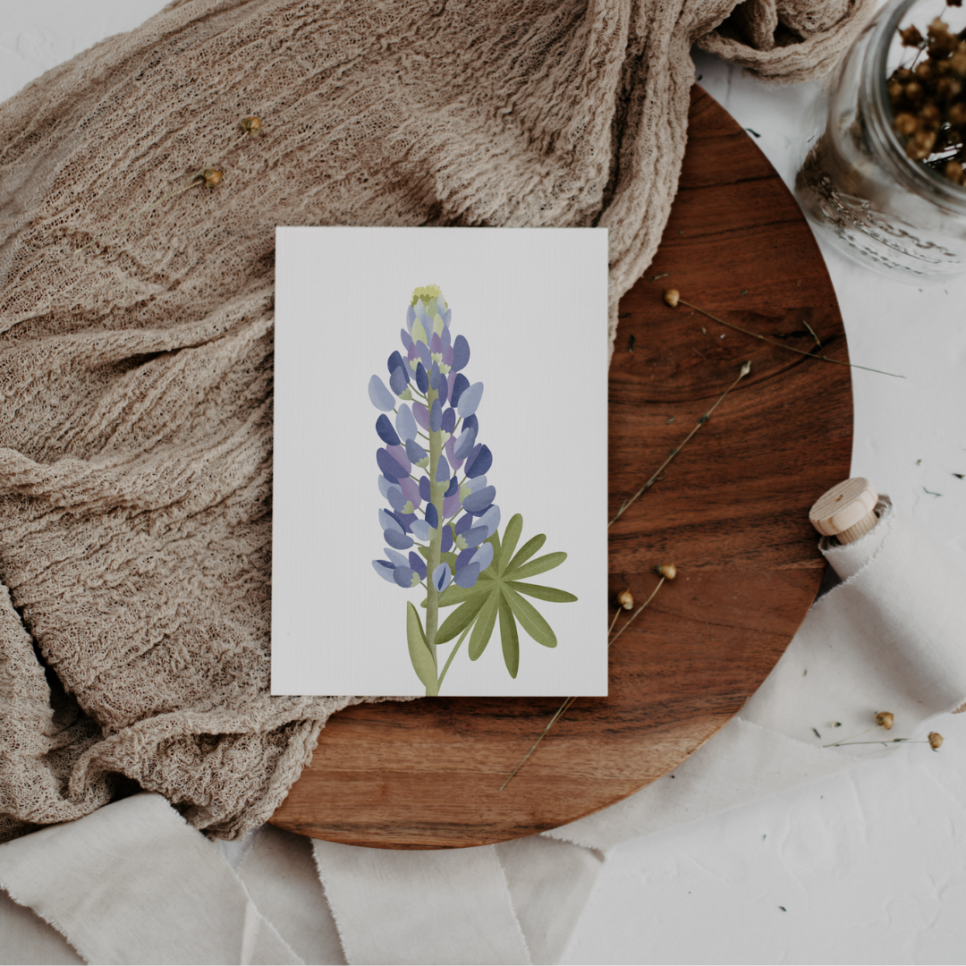 Postkarte Blume Lupinen - Botanische Grußkarte Lupinen Island