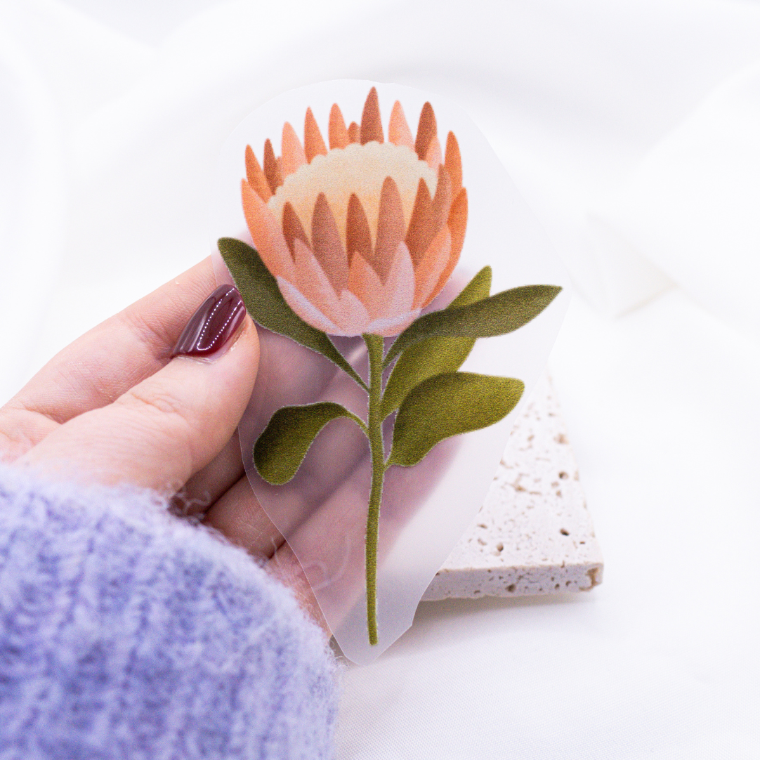 Bügelbild Protea Pflanze Aufnäher Blüte - Geschenk Shirt verzieren Iron On Patch - Boho Plant