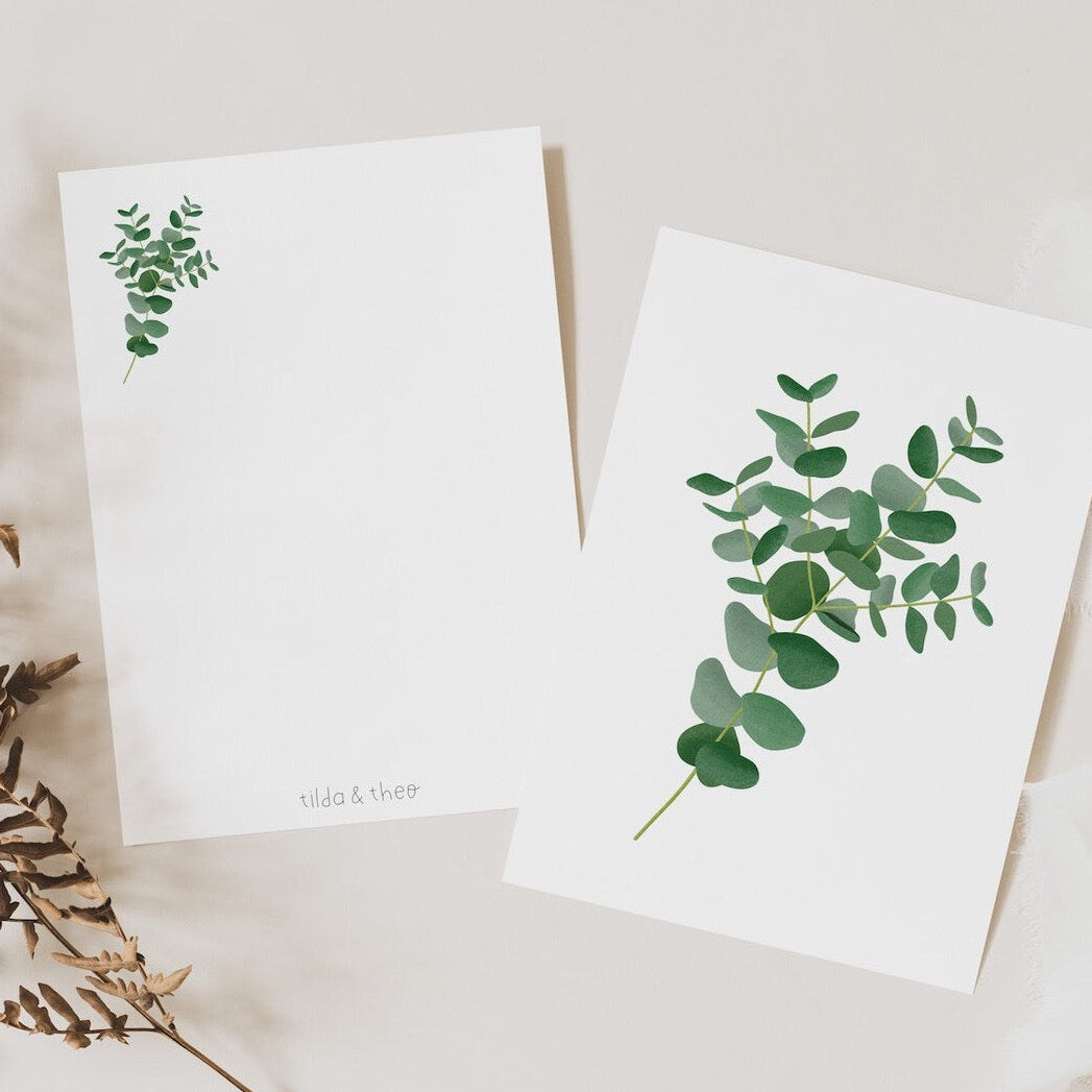 Postkarte - Eukalyptus Zweig - Eukalyptuszweige Botanik Grußkarte