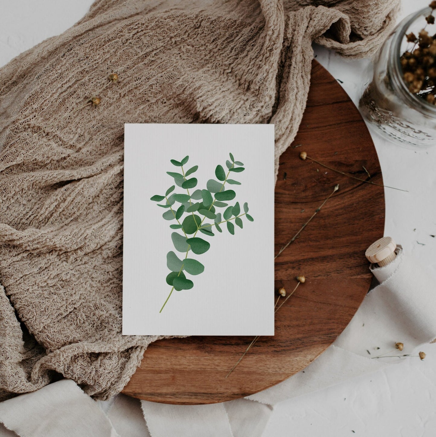 Postkarte - Eukalyptus Zweig - Eukalyptuszweige Botanik Grußkarte