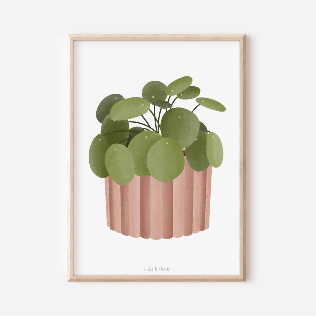 Poster Pilea Zimmerpflanze - Boho Pflanze Botanischer Print