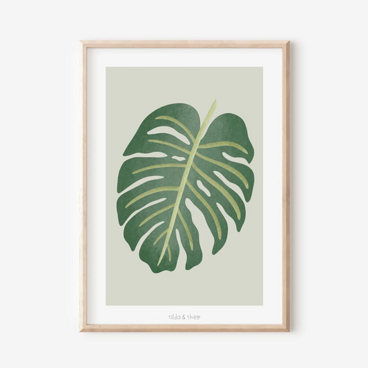 Poster Monstera Zimmerpflanze - Boho Pflanze Botanischer Print