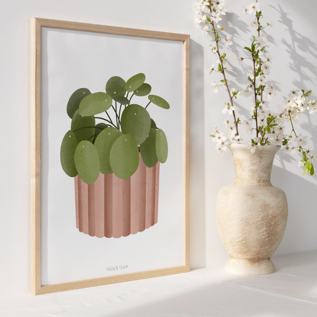 Poster Pilea Zimmerpflanze - Boho Pflanze Botanischer Print