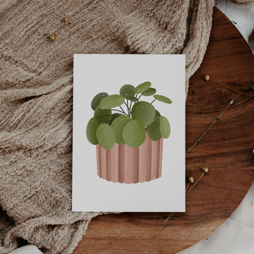 Postkarte Pilea Pflanze - Tropische Zimmerpflanze Grußkarte Topfpflanze