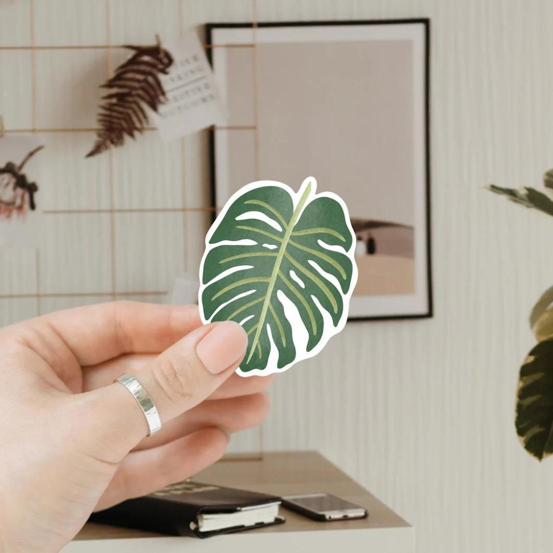 Sticker Pflanze Monstera - Zimmerpflanze Aufkleber Kiss Cut