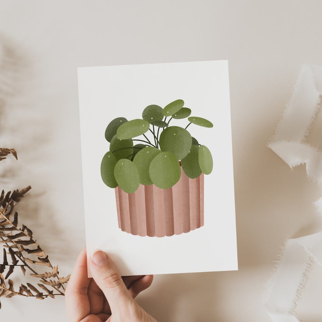 Postkarte Pilea Pflanze - Tropische Zimmerpflanze Grußkarte Topfpflanze