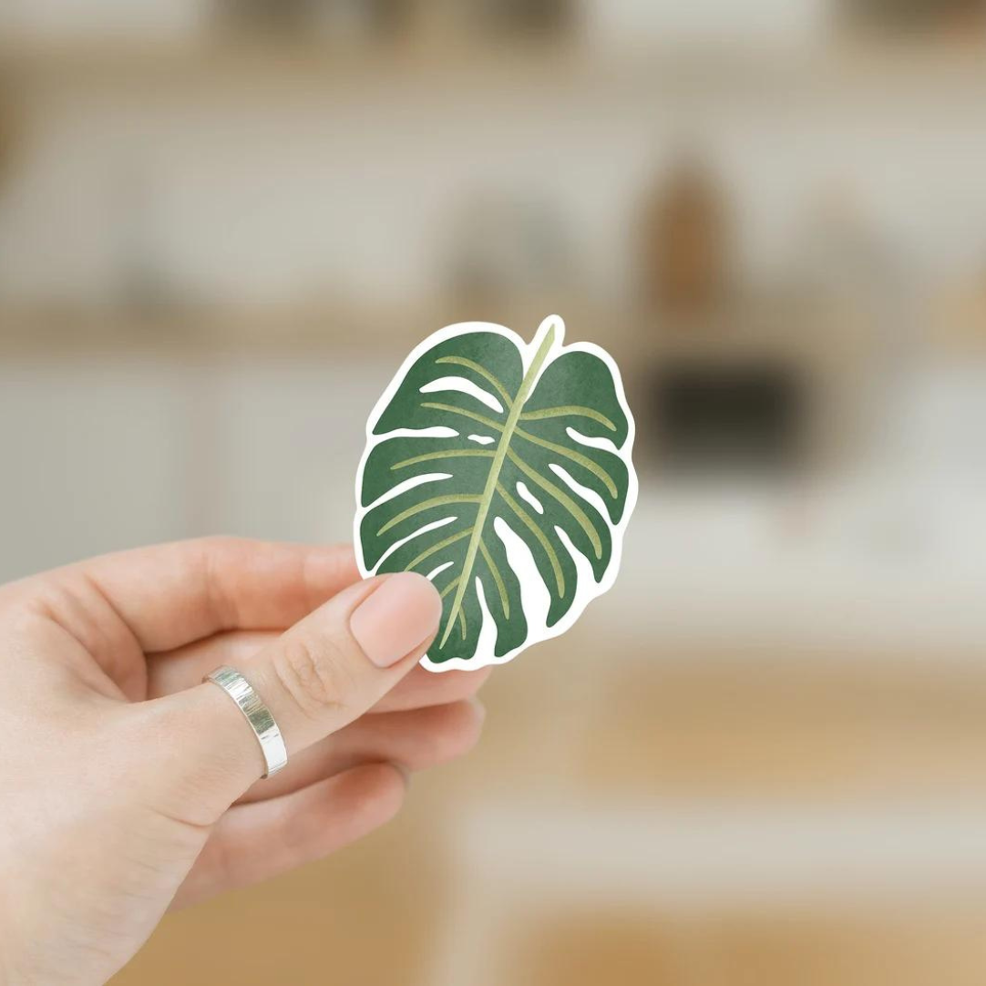 Sticker Pflanze Monstera - Zimmerpflanze Aufkleber Kiss Cut