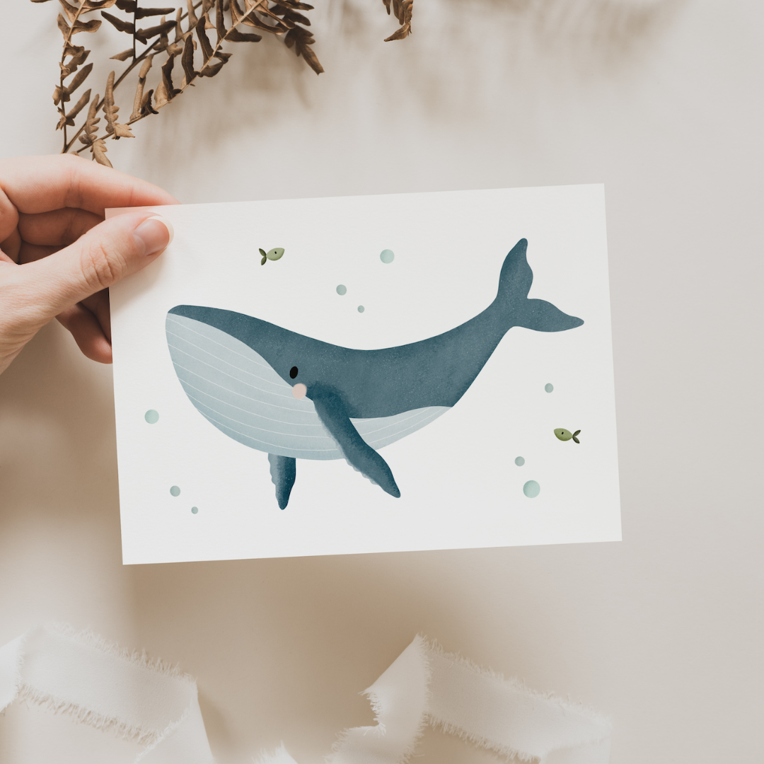 Post Card Whale - Sea Life Iceland