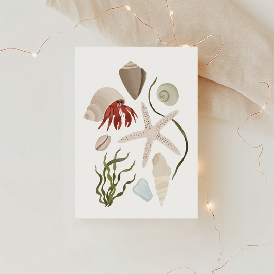 Postkarte Meer Strandgut Karte Krebs - Postkarte Strandspaziergang Muscheln