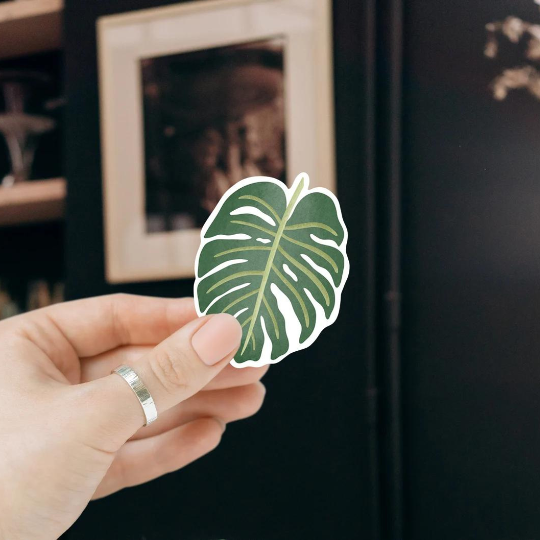 Sticker Pflanze Monstera - Zimmerpflanze Aufkleber Kiss Cut