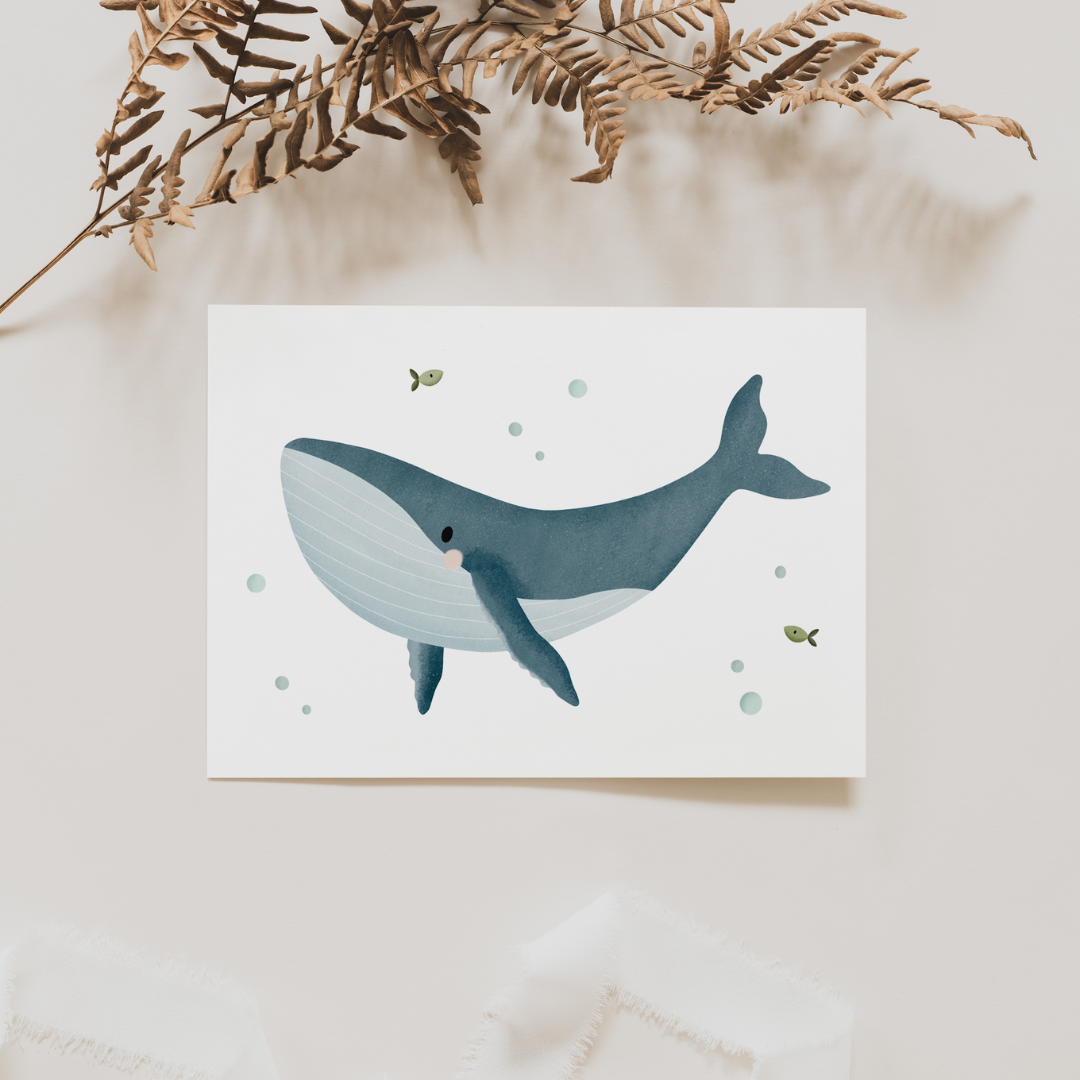 Post Card Whale - Sea Life Iceland