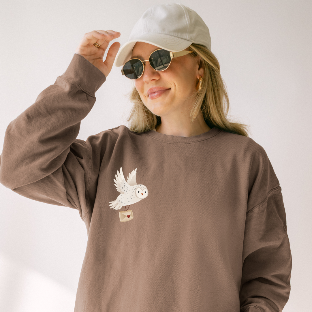 Pullover Schneeeule mit Brief - Waldtier Sweater Eule Geschenkidee Lesen Bücher