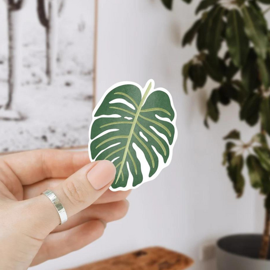 Sticker Pflanze Monstera - Zimmerpflanze Aufkleber Kiss Cut