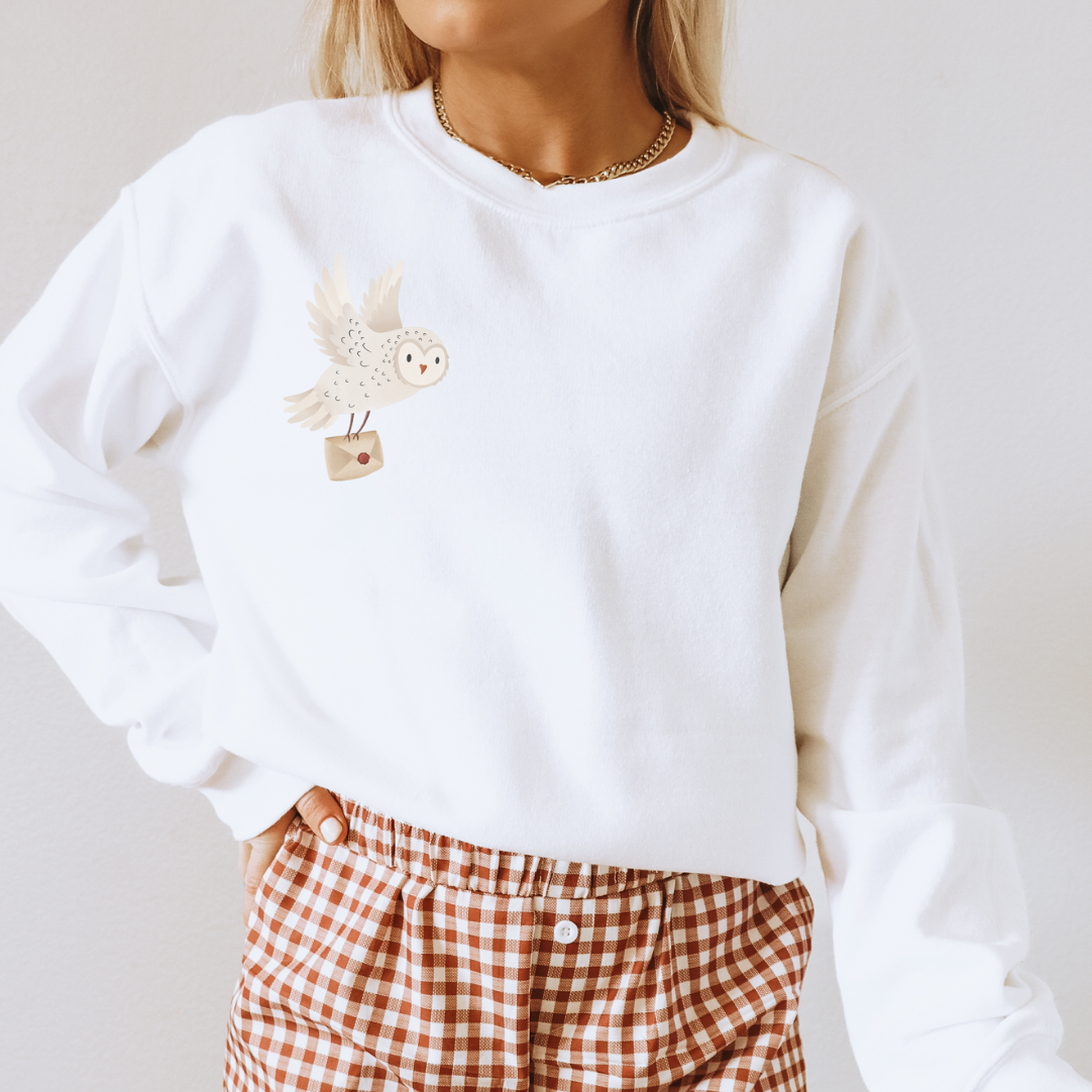 Pullover Schneeeule mit Brief - Waldtier Sweater Eule Geschenkidee Lesen Bücher