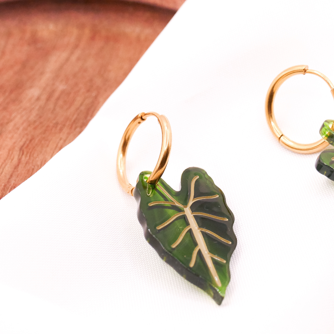 Ohrringe Begonie Zimmerpflanzen Creolen - 18k vergoldet Pflanze Monstera Anhänger - Geschenkidee Ohrringe Blatt