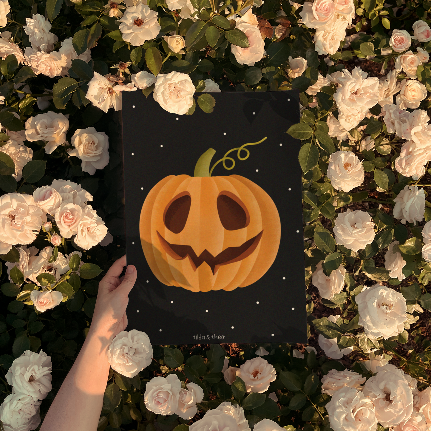 Poster Pumpkin - autumn image