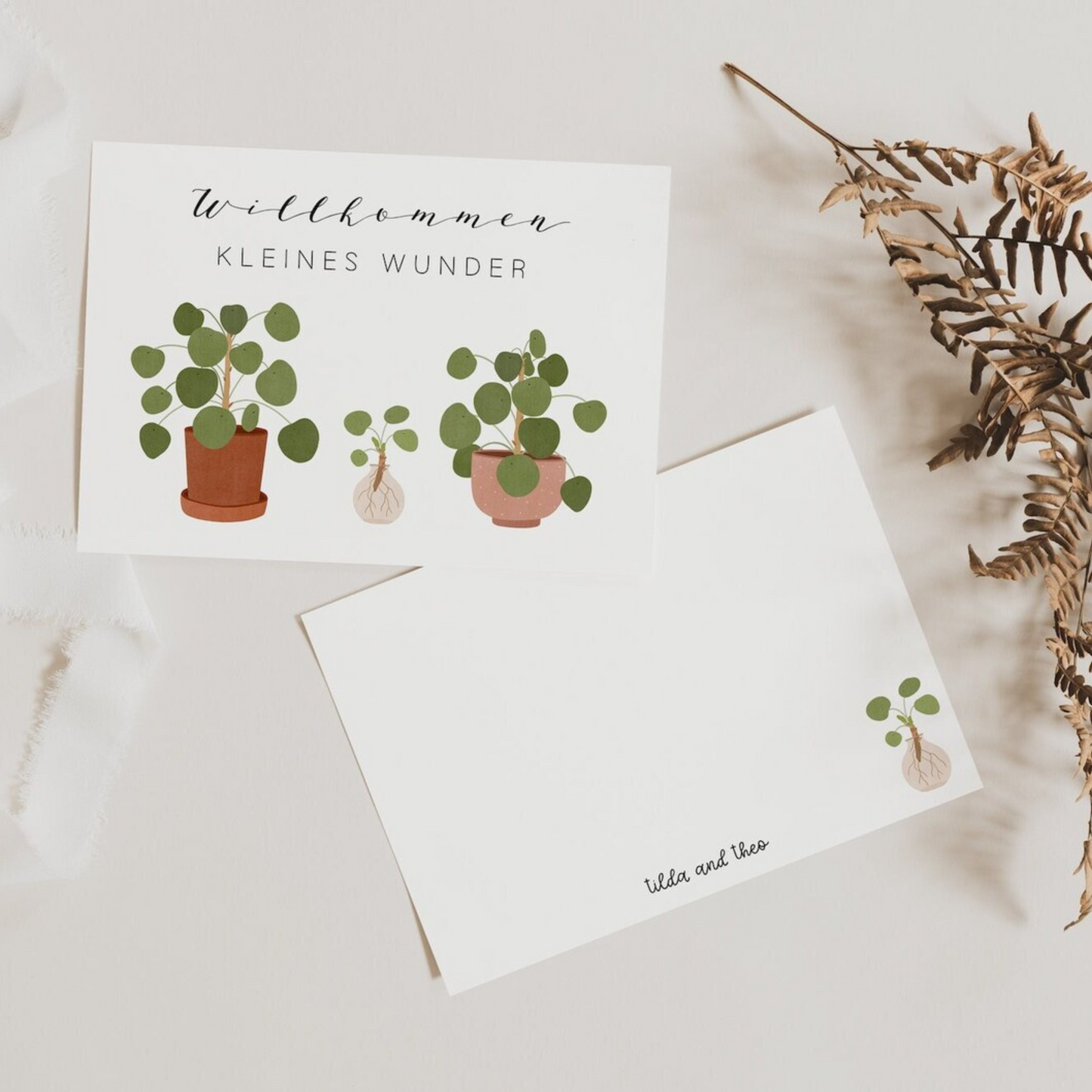 Birth card - Pilea offshoot