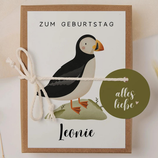 Geschenkschachtel Geburtstag Puffin Island - Geldgeschenk Papageientaucher