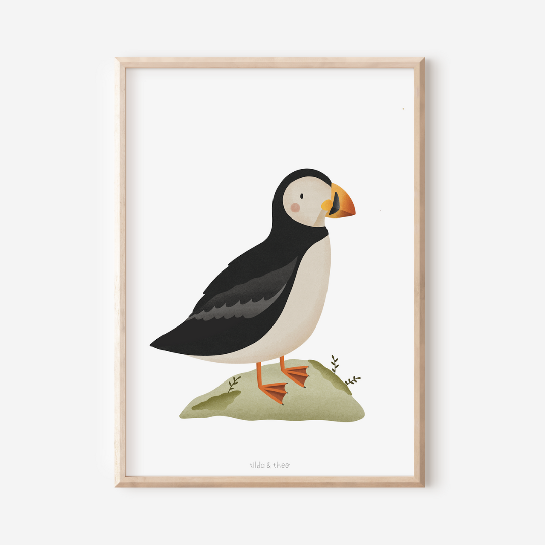 Poster Puffin - Iceland Kids Wall Art