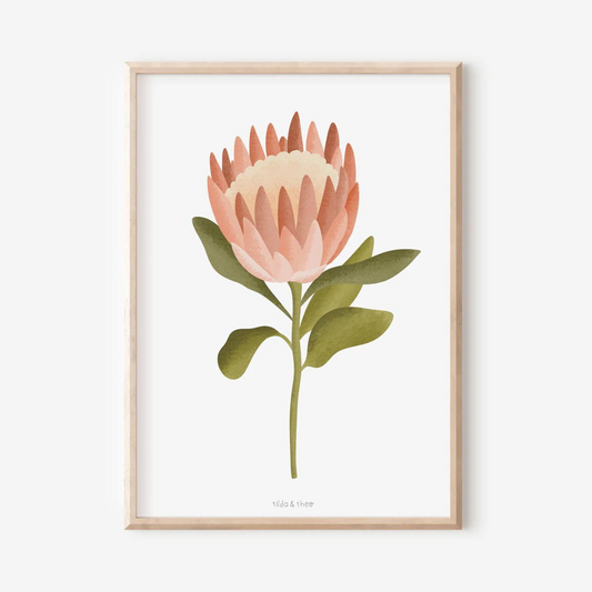 Poster Protea - Boho flower wall art