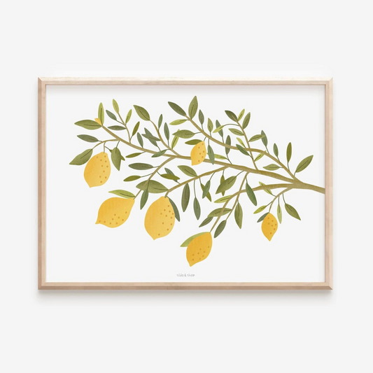 Poster Lemons - Lemon branches