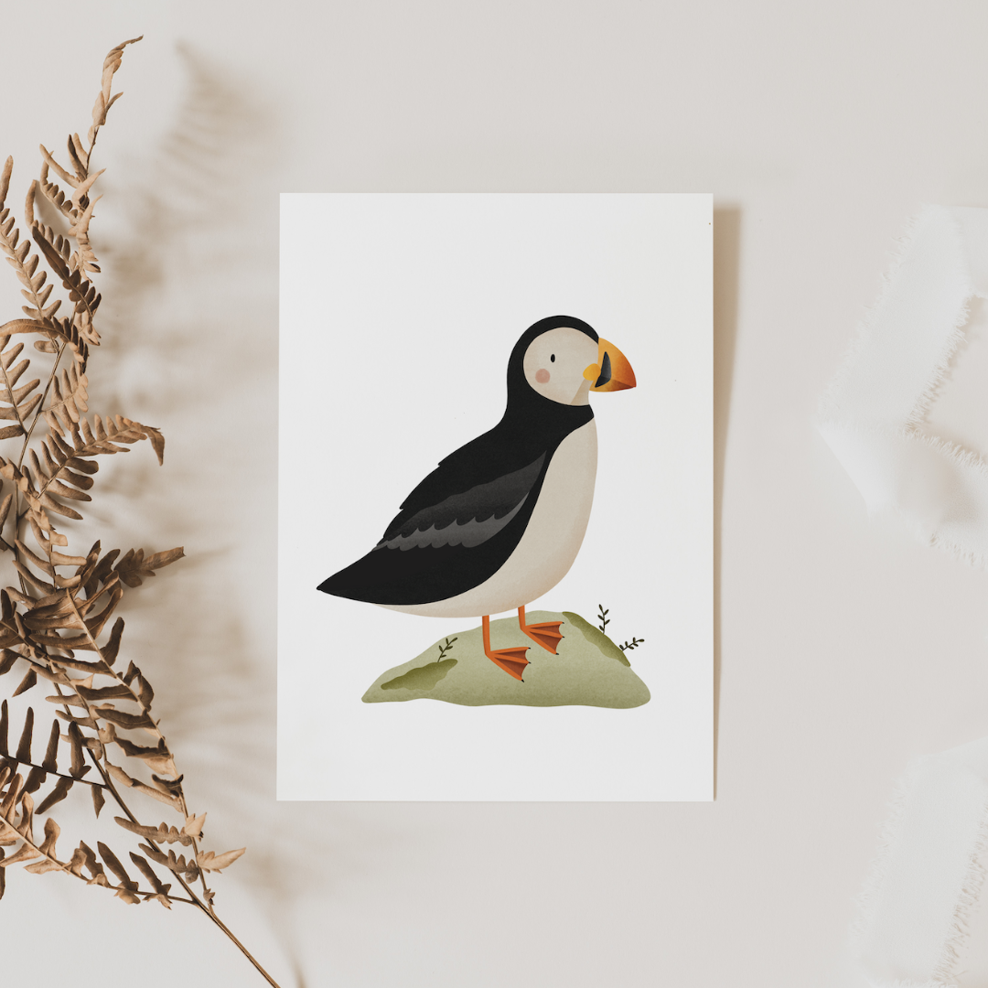 Postcard Puffin / Puffin - Iceland