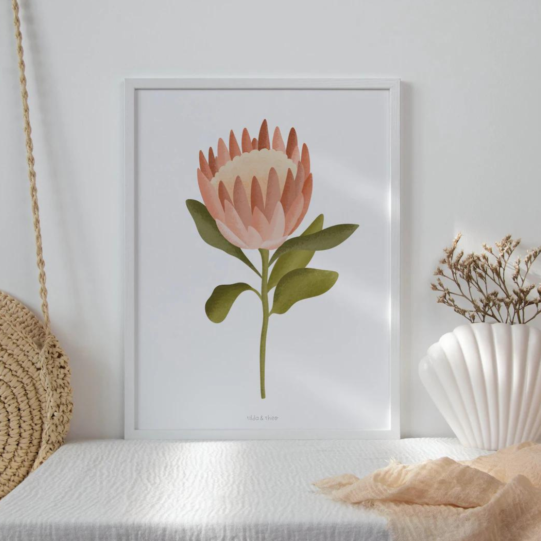 Poster Protea - Boho flower wall art